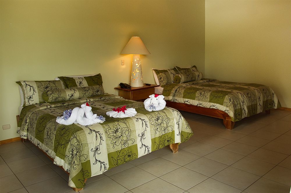 Ficus Lodge الجبل الأخضر المظهر الخارجي الصورة